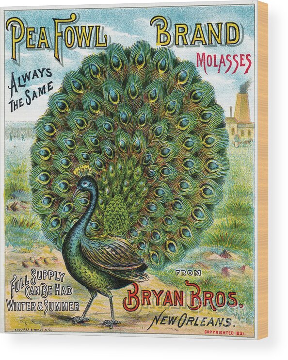 1891 Wood Print featuring the drawing Peafowl Brand Molasses. by Granger