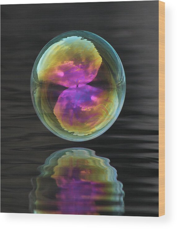 Bubble Wood Print featuring the photograph Perfect Sphere by Cathie Douglas