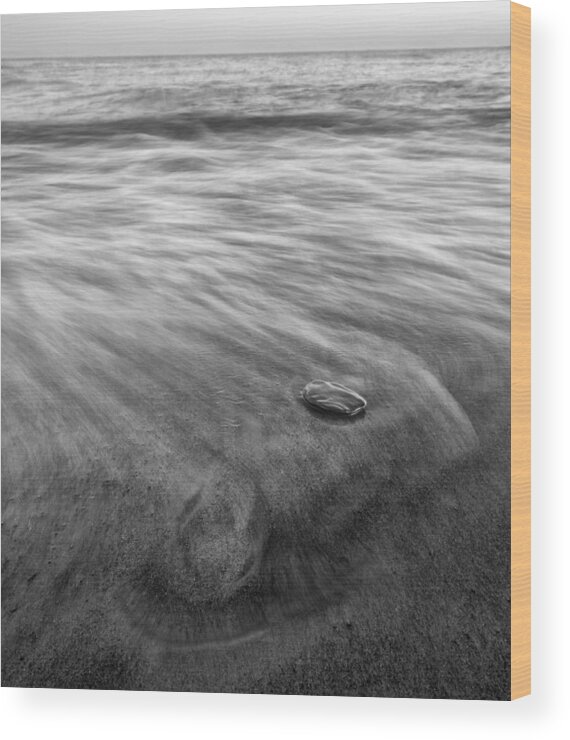 Presque Isle Wood Print featuring the photograph Presque Isle Shores 2 by Matt Hammerstein