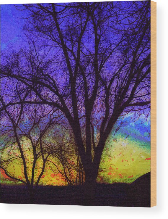 Sunrise Wood Print featuring the photograph Rainbow Morning by Julie Lueders 