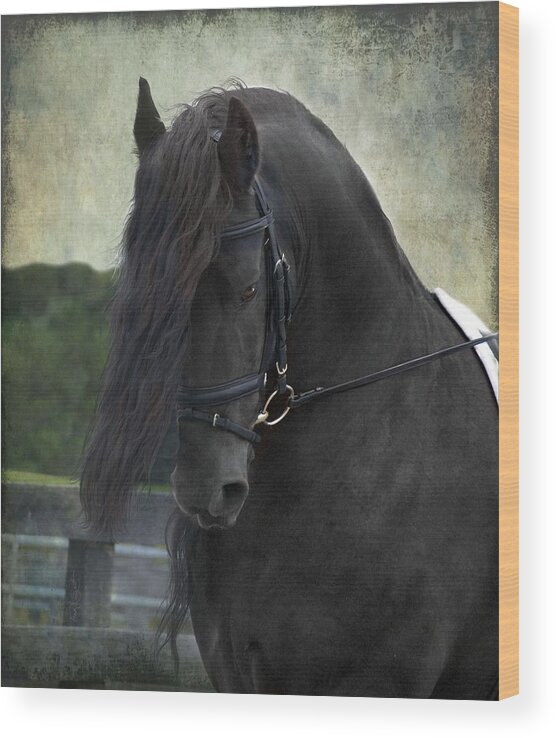 Horses Wood Print featuring the photograph Remme by Fran J Scott