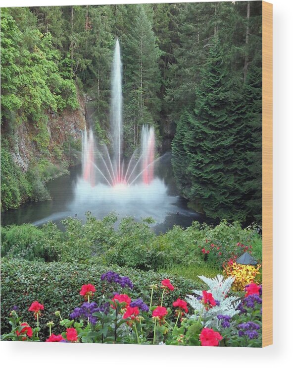 Fountain Wood Print featuring the photograph Ross Fountain by Betty Buller Whitehead
