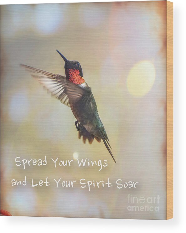  Ruby Red Throat Hummingbird Wood Print featuring the photograph Ruby Red Hummingbird Soaring by Peggy Franz