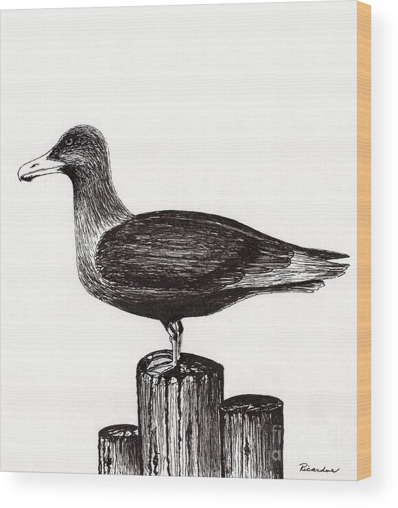 Seagull Wood Print featuring the drawing Seagull Portrait on Pier Piling E3 by Ricardos Creations
