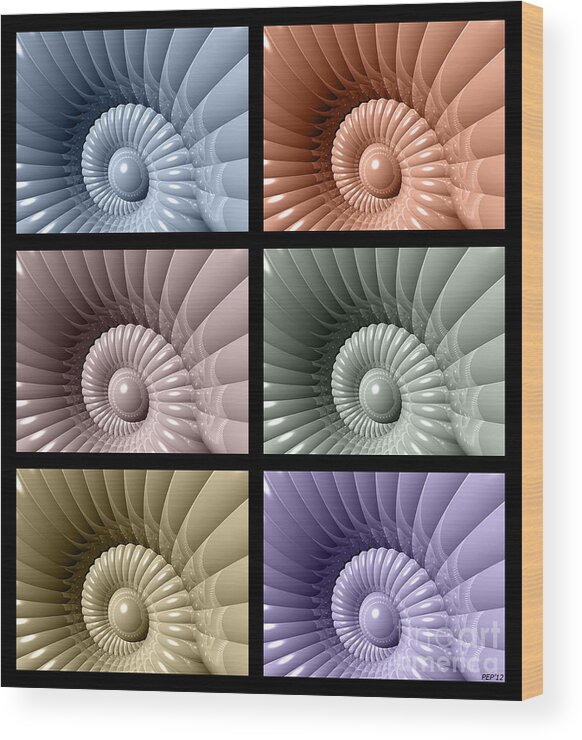 Graphic Design Wood Print featuring the digital art Series of Sea Shells by Phil Perkins
