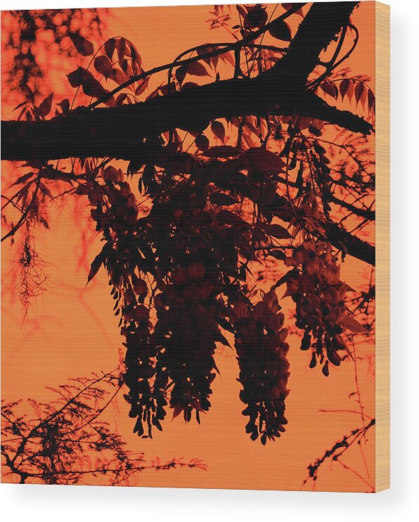 Black Wood Print featuring the photograph Silhouette by Cathy Harper