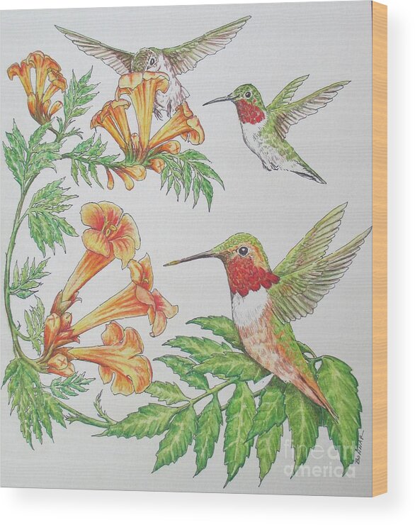 Allen Hummingbird Wood Print featuring the painting Texas Trumpet Trio by Sue Bonnar