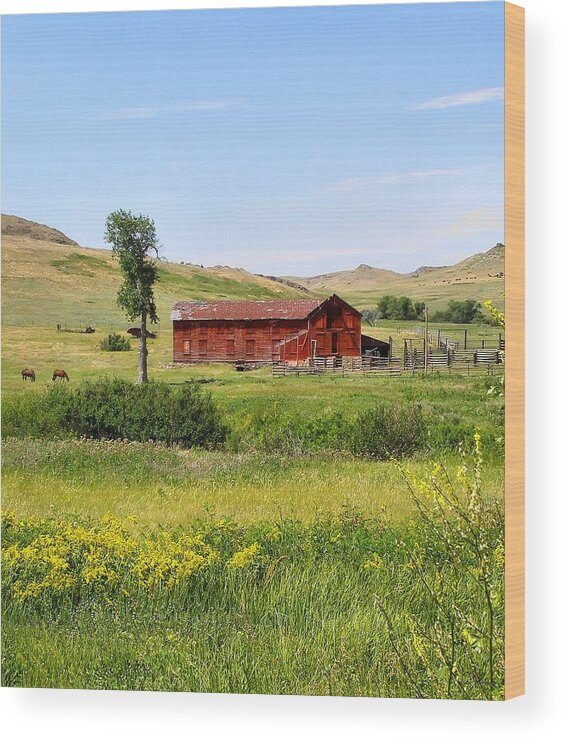 Montana Wood Print featuring the photograph The Color of Montana by Susan Kinney