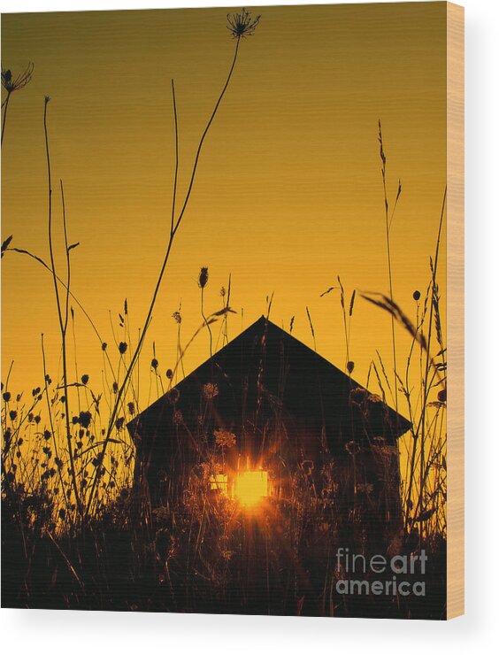 Yellow Wood Print featuring the photograph The Last Sunset by Terry Doyle