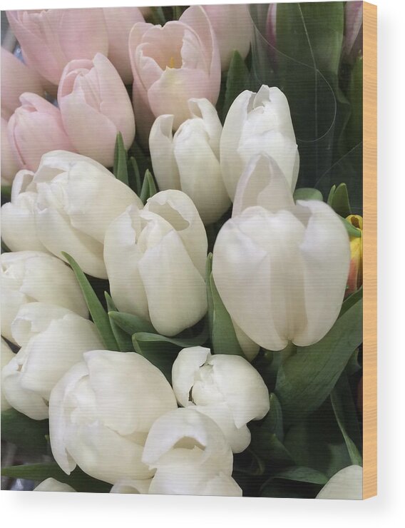 Flowers Wood Print featuring the photograph Tulips by Maneet Kaur