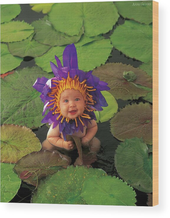 Flower Wood Print featuring the photograph Tayla as a Waterlily by Anne Geddes