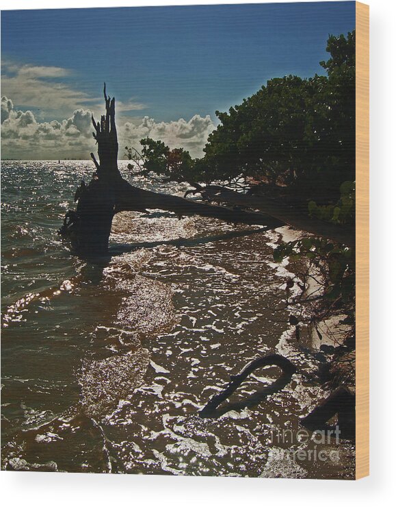 Beach Wood Print featuring the photograph Wood Light by George D Gordon III