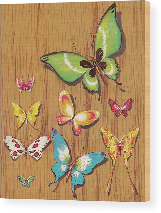Animal Wood Print featuring the drawing Butterflies #1 by CSA Images