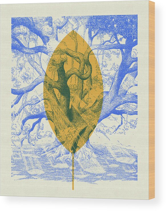 Bend Wood Print featuring the drawing Large Twisted Tree #1 by CSA Images