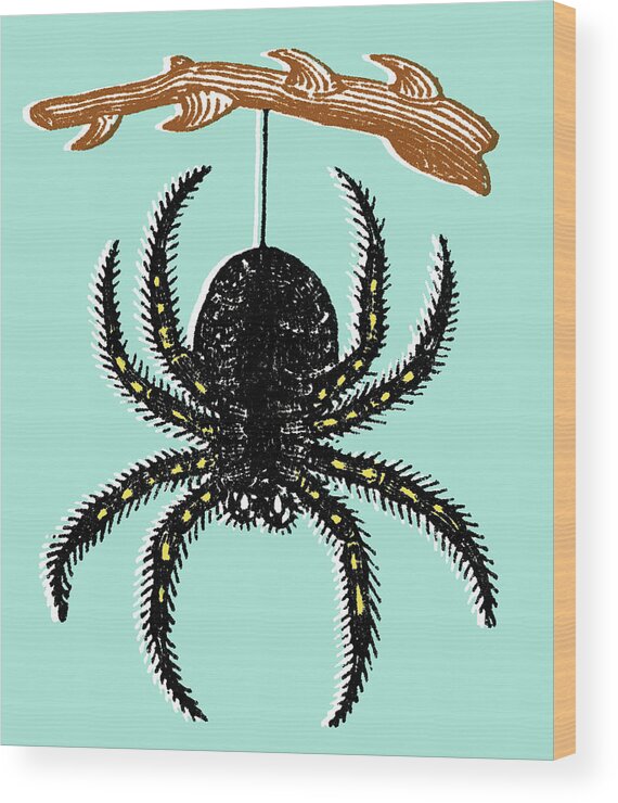 Afraid Wood Print featuring the drawing Spider #16 by CSA Images