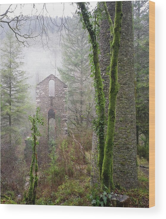 Clitters Wood Print featuring the photograph Ghostly Ruins Clitters Mine Gunnislake Cornwall by Richard Brookes