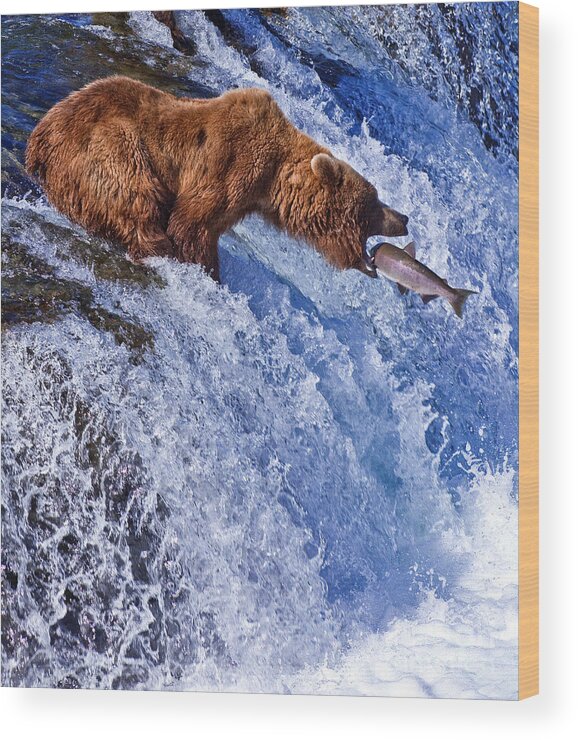 Grizzly Wood Print featuring the photograph Grizly Bears At Katmai National Park by Gleb Tarro