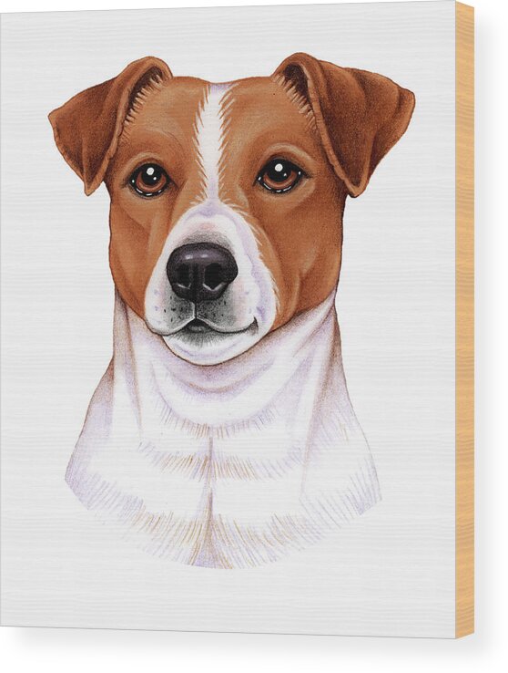 Jack Russell Wood Print featuring the mixed media Jack Russell by Tomoyo Pitcher