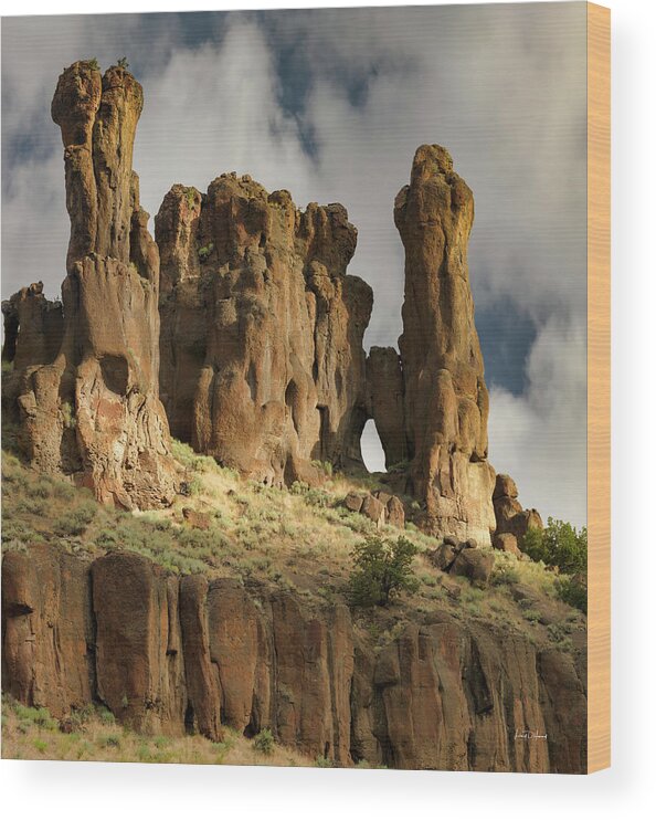 Nature Wood Print featuring the photograph Jarbidge Canyon Formations by Leland D Howard