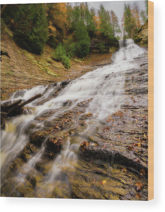 Laughing Wood Print featuring the photograph Laughing Whitefish Falls by Owen Weber
