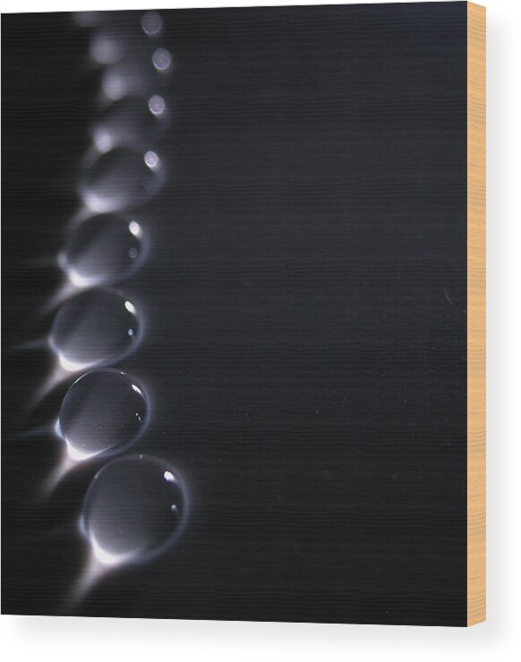 In A Row Wood Print featuring the photograph Line Of Drops by Nick Bush