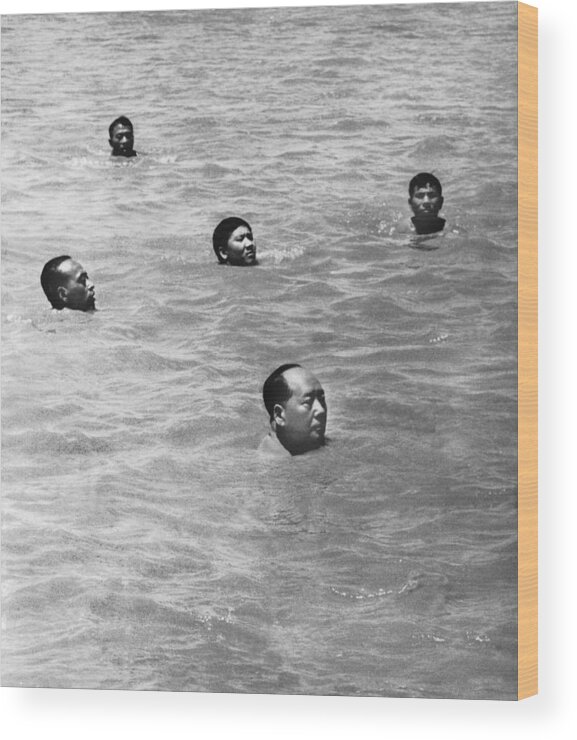 Long Wood Print featuring the photograph Mao Zedong Swimming In The River by Keystone-france