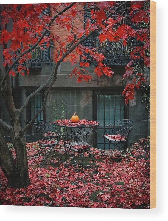  Wood Print featuring the photograph Marlborough maple fall by Brian McWilliams