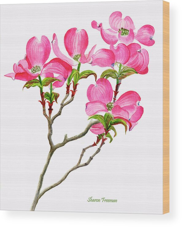 Dogwood Wood Print featuring the painting Pink Dogwood Array vertical design by Sharon Freeman
