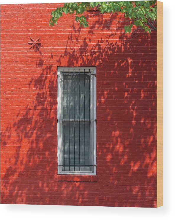 Architecture Wood Print featuring the photograph Red Shadow by Liz Albro