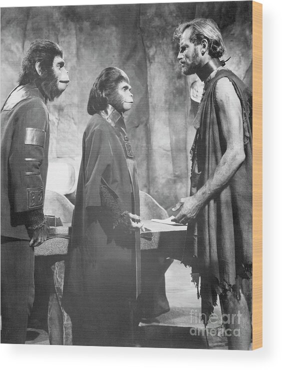 People Wood Print featuring the photograph Scene From Planet Of The Apes Film by Bettmann