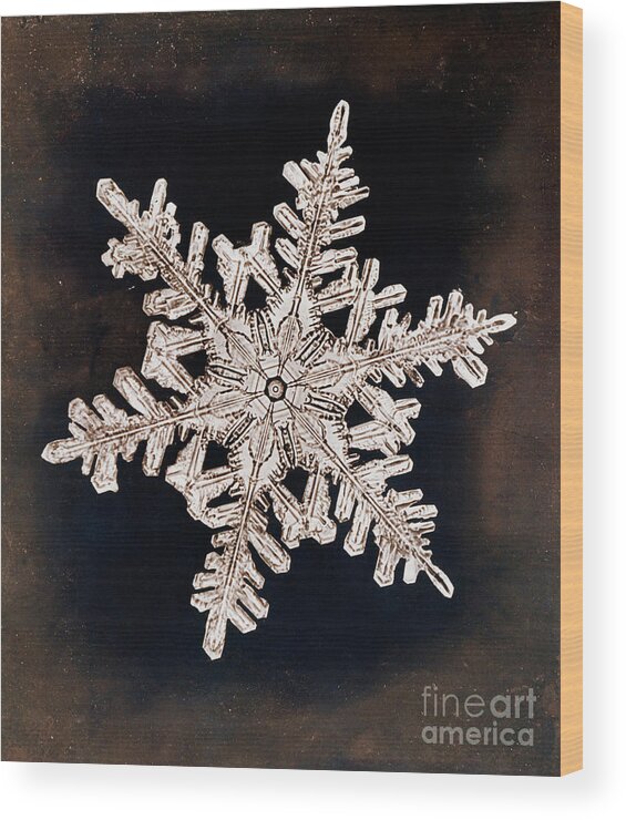 Snowflake Wood Print featuring the photograph Snowflake by Metropolitan Museum Of Art/science Photo Library