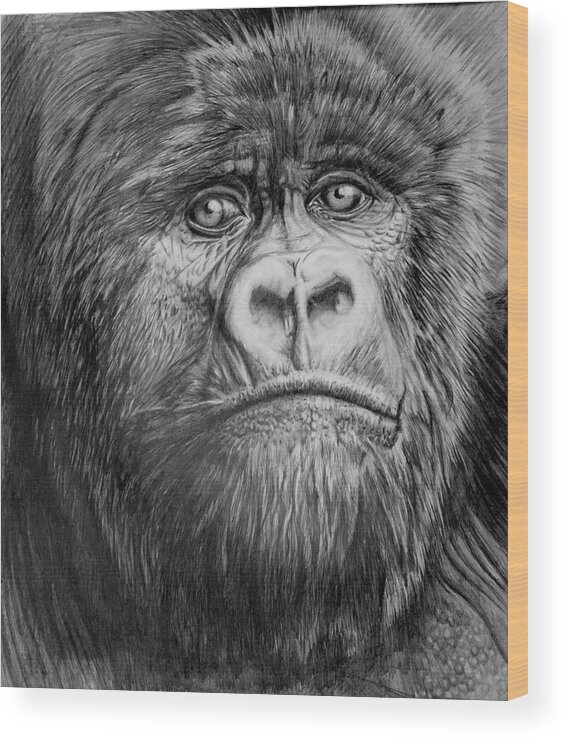 Gorilla Wood Print featuring the painting Uku by Martin Nasim