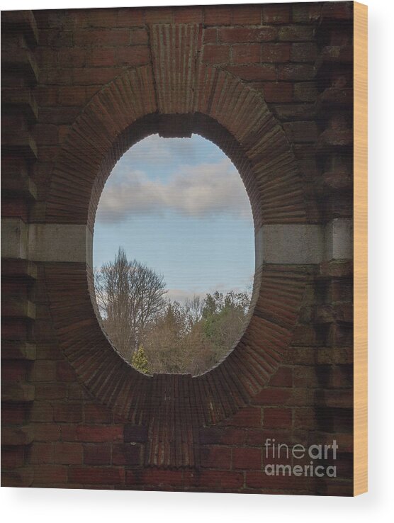Architectural Wood Print featuring the photograph Architectural Aperture by Perry Rodriguez