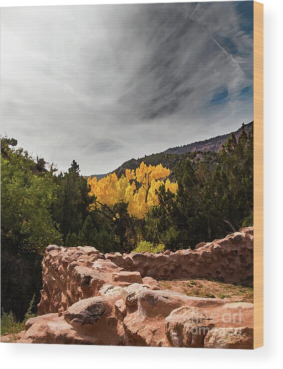 Autumn Wood Print featuring the photograph Autumn in the Jemez by Neala McCarten