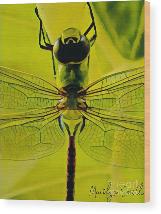 Insect Wood Print featuring the painting Dragon Fly by Marilyn Smith