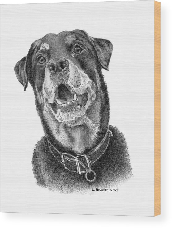 Dog Wood Print featuring the drawing Faithful Friend by Louise Howarth