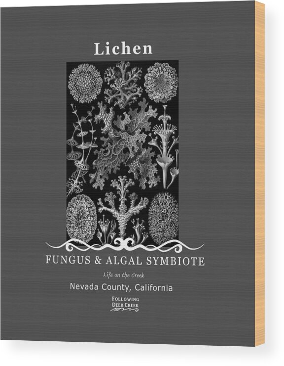 Lichen Wood Print featuring the digital art Lichen by Lisa Redfern