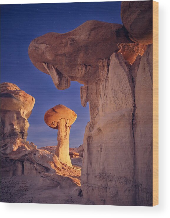 Badlands Wood Print featuring the photograph Light There Be by Peter Boehringer