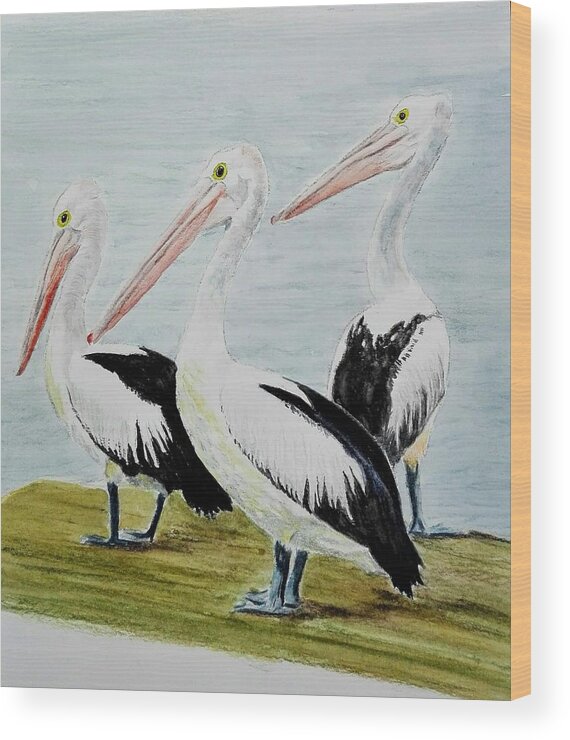 Birds Wood Print featuring the painting Pelicans by Sandie Croft