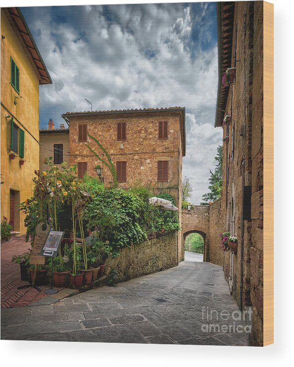 Italy Wood Print featuring the photograph Pienza by The P
