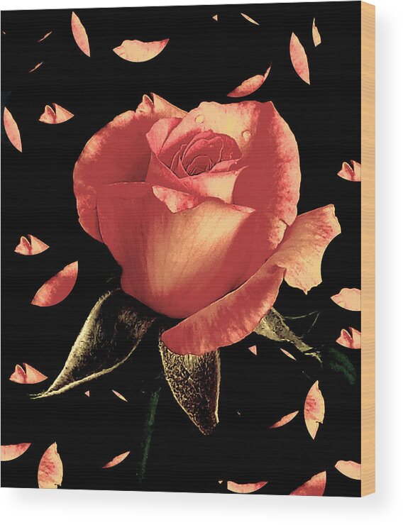 Rose Wood Print featuring the photograph Rose Petals by Dani McEvoy