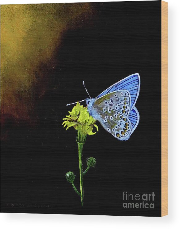 Butterfly Wood Print featuring the painting Silver Studded Blue by Gordon Palmer