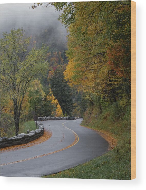 Landscape Wood Print featuring the photograph The Mountain Road by Jamie Tyler