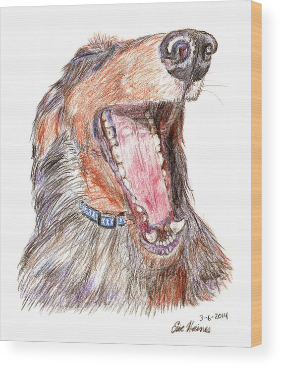 Yawning Wood Print featuring the drawing Yawning Wiener Dog by Eric Haines