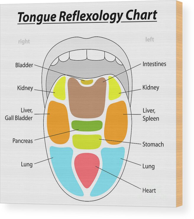 Tongue Chart