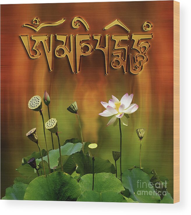 Om Mani Padme Hum Mantra With White Lotus Wood Print