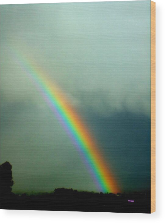 Rainbow Wood Print featuring the photograph Good Morning Sydney by VIVA Anderson