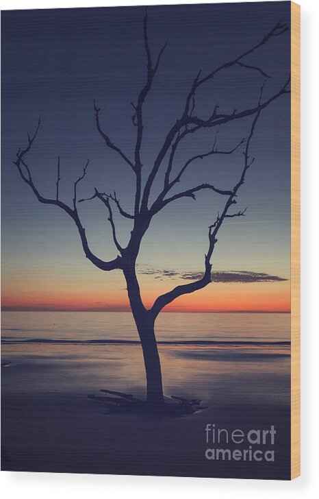 Driftwood Wood Print featuring the photograph Driftwood Beach 1 by Tim Wemple