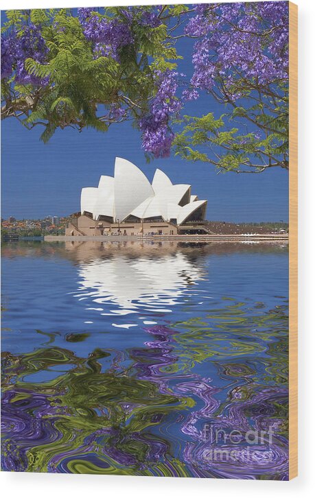 Sydney Opera House Wood Print featuring the photograph Sydney Opera House with jacaranda reflection by Sheila Smart Fine Art Photography