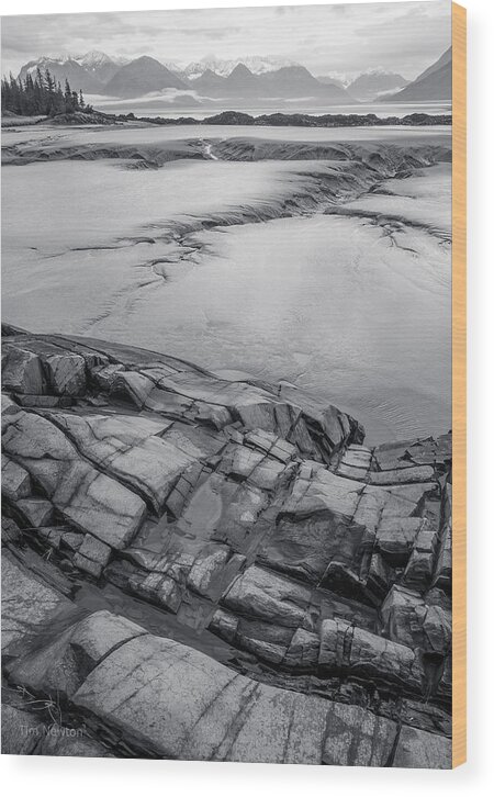 Landscape Wood Print featuring the photograph Turnagain Scars by Tim Newton